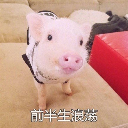 最佳鸡汤文案句子,你看过吗