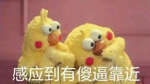 小编不慎笑晕,临末提醒网友不要在同一地方跌倒,否则后果自负