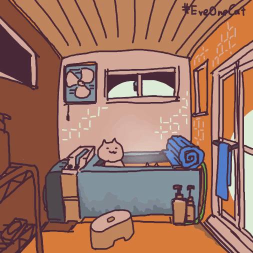 玄学还是真相,养猫真的有这么多好处