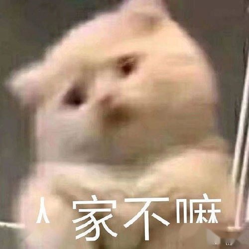 害羞的莫仔可可爱爱,
