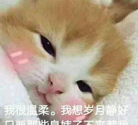 开心一刻昨天去吃烤肉,发现肉没熟,问老板怎么回事