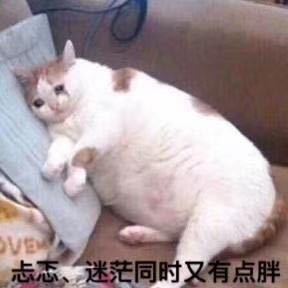 我看你欠打的图片忐忑迷茫同时又有点胖表情包下载乐游网游戏下载