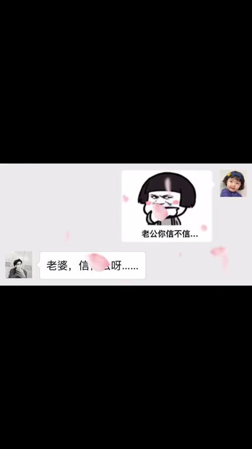 拿去跟脑公要生活费包管用沙雕操作表情包小可爱已上线聊天记录