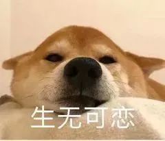 2号台风生成梅州气温将重返2字头据说春节假期天气很