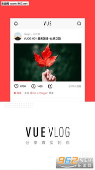 vue表情包小影