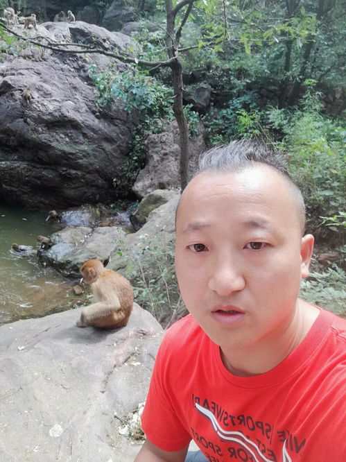 郑州周边哪里最好玩我推荐这里