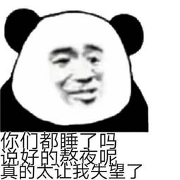 表情包你们都睡了吗,说好的熬夜呢