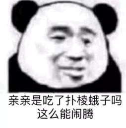 斗图表情包潜水原谅