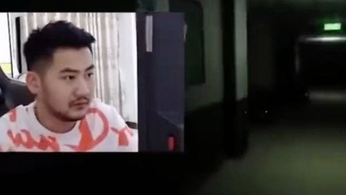 茄子名场面我柜子动了,我不玩了