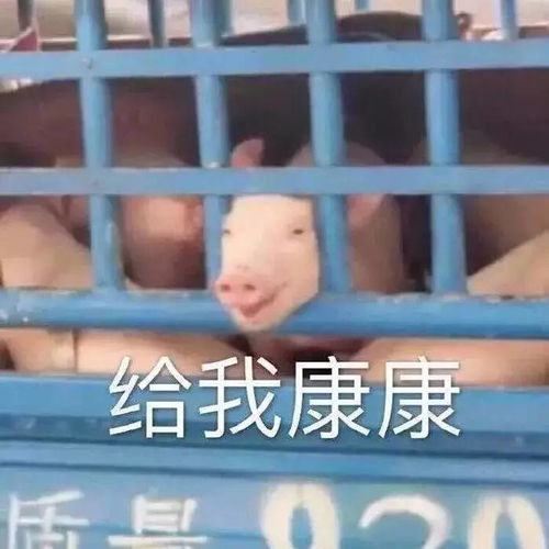 我想给大家讲一下我前两天玩m3的时候真实到我起立鼓掌的一段爱情故事