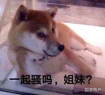 有本事开门啊表情包出去玩