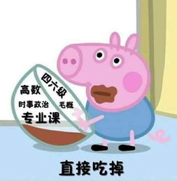 小猪佩奇表情包高清啥是佩奇