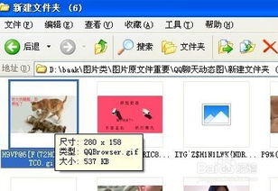 微信添加动态表情iphone和安卓通用表情gif