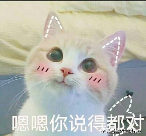 搞笑gif动态图大爷还是你大爷,不接受反驳