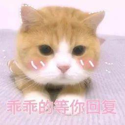 拆家充值游戏币...玩游戏的孩子真的招人烦930王牌主播教你奇招