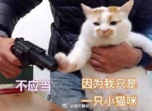 沉迷游戏也算精神病每日轻松一刻11月15日晚间版