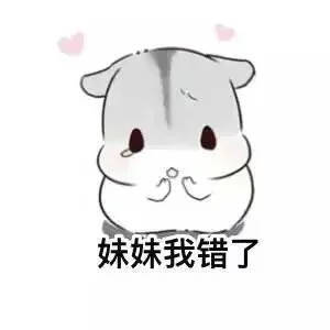 可爱仓鼠兄妹表情包