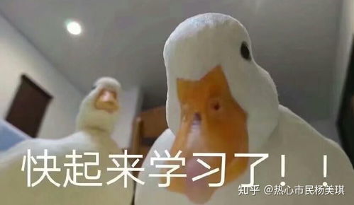 2021上半年教师资格证什么时候开始报名如何备考