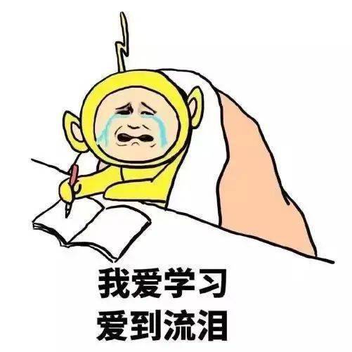 学习上瘾表情包