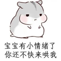 求这张图的表情包,哪位大神知道这张图的表情包到底是什么,太可爱了