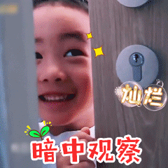 小小春gif动图表情包完整版下载