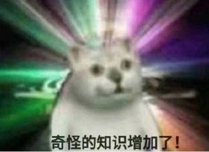 mur猫表情包下载mur猫表情包微信高清大图免费分享