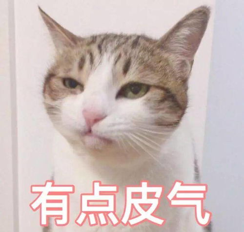 穿假货密会3小时恋情曝光鹿晗关晓彤当年都没这么高调
