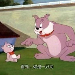 微信猫猫表情包猫和老鼠