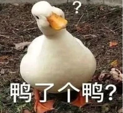 拼命挖墙脚把邻居家挖塌,受害者早就告诫过,人家不听呀