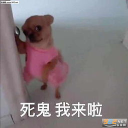 我仿佛来到了菜市场图片出来喝奶茶吗表情包下载乐游网游戏下载