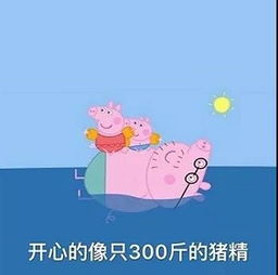 中国各地区国际学校烦恼图鉴