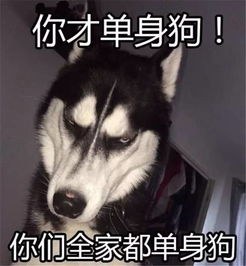 情人节福利手把手教你如何成为吻界扛把子
