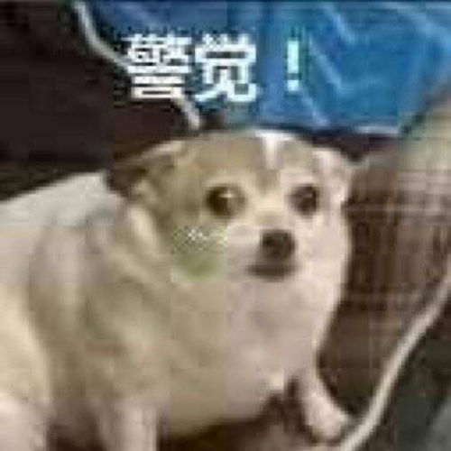 光天化日之下竟然拍了小妹妹pg
