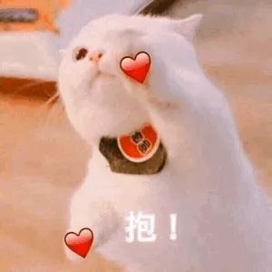 每日吸丨小兔几白了又了白
