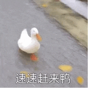 考研择校你看重城市吗小心盲目报考白复习
