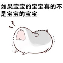 仓鼠王宝强绕口令表情包宝宝的宝宝不是宝宝的宝宝安粉丝手游网