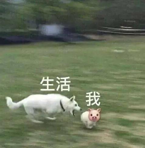 护士专属表情包,真是无敌了必须收藏