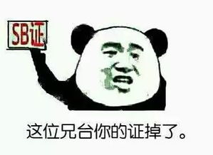 搞笑表情包500张图
