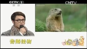 搞笑方言配音我是超社会的喵星人,难道还怕你不成啊