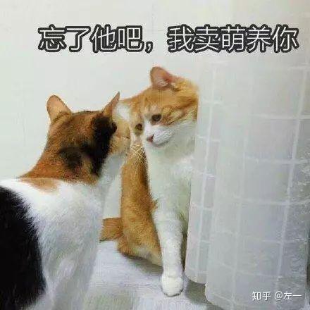 和网恋男朋友见面后什么体验