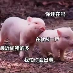 日常沙雕表情包不是你静香不够骚,而是我胖虎眼光高了
