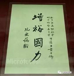 历史沉浮宋蔼龄宋霭龄哪个对