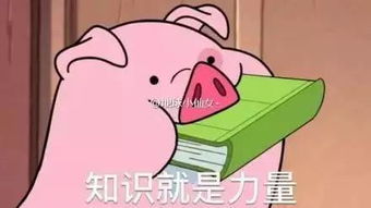请用一个表情包形容你的专业笑到肚子疼