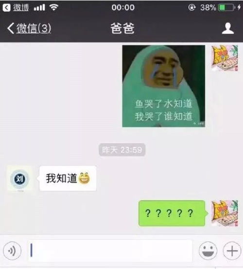 哈哈哈和爸妈聊天慎发表情包你根本猜不到结局