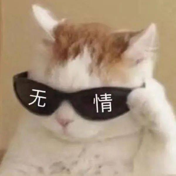 轻历史回得去的叫家乡,回不去的叫故乡