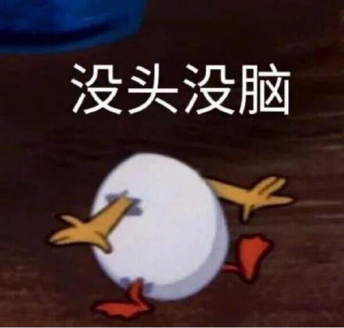 末流二本考研没有勇气怎么办