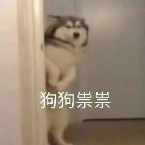 青春志愿爱在旅途春运回家路上,资阳青年志愿者暖心相伴