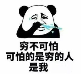 2017最全把妹尬聊网络新语与表情包,脑洞分类排名