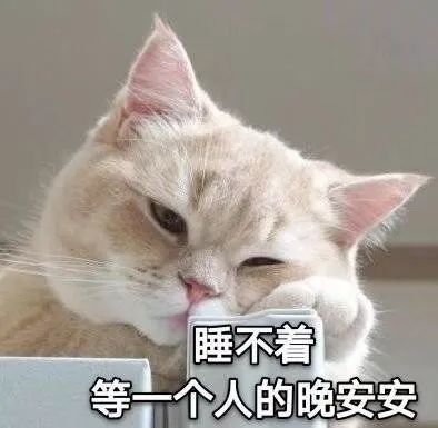 表情包睡不着,等一个人的晚安安