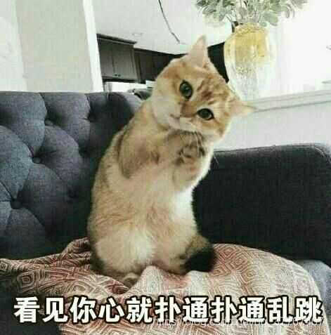 我的大学